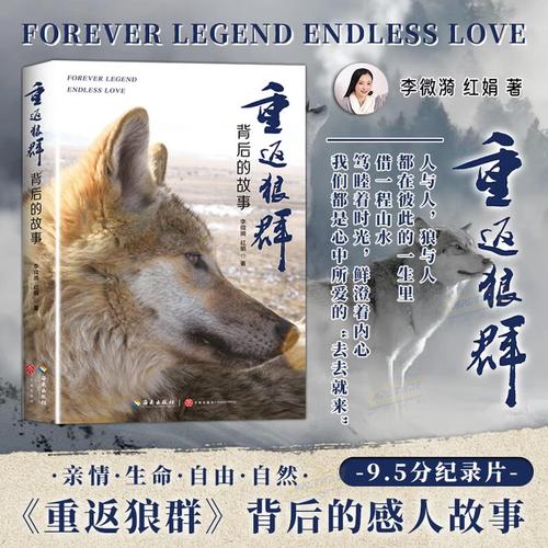 8x影院的相关介绍